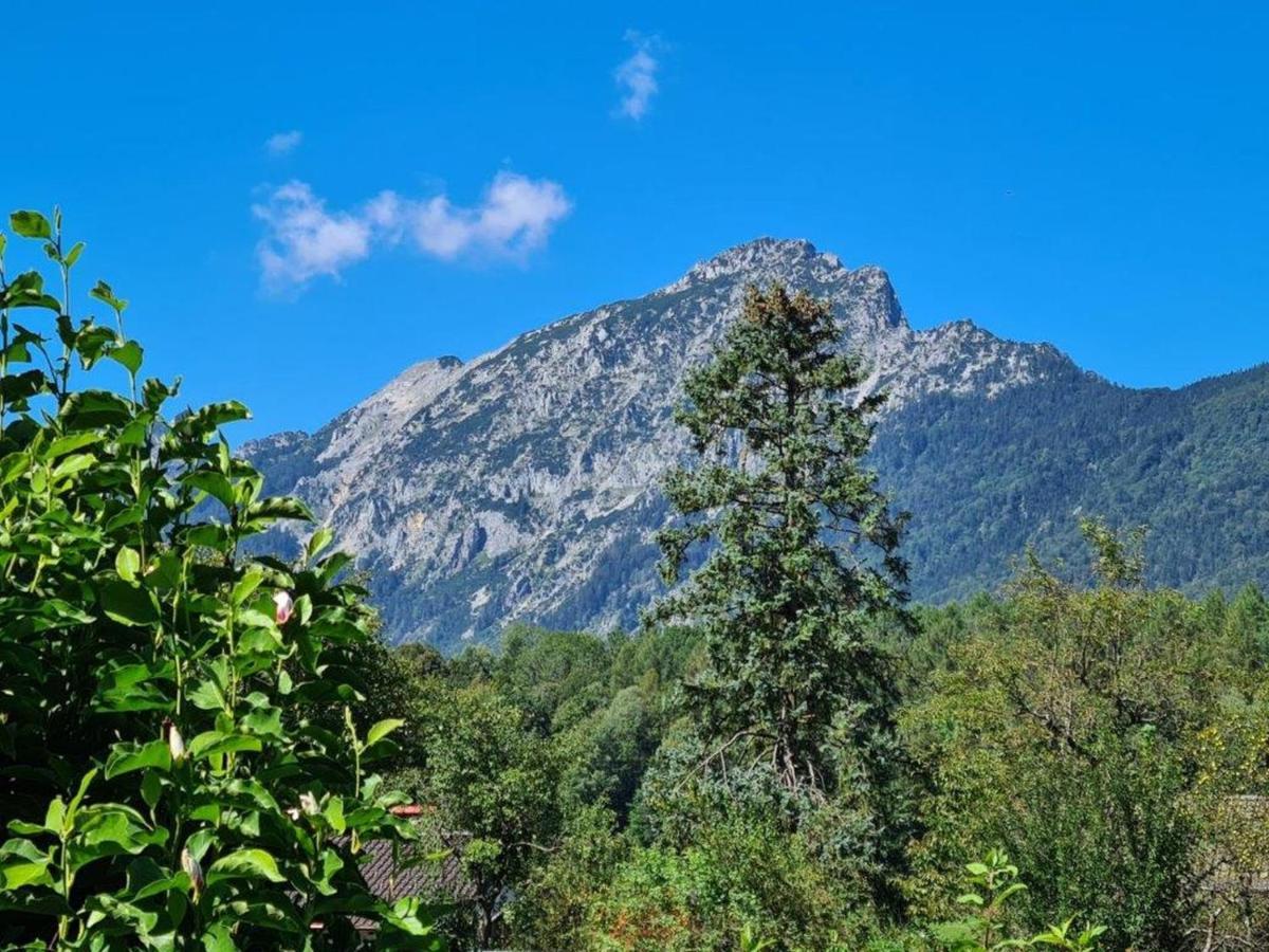 Ferienwohnungen Sommer Bayerisch Gmain Ngoại thất bức ảnh